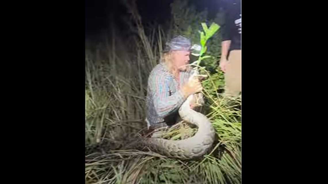 A group of men hunting in the Florida Everglades reportedly found an invasive python had eaten an invasive iguana, video shows.