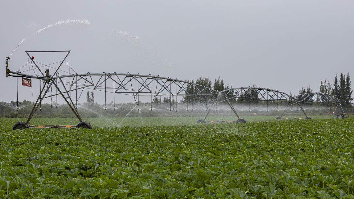 See how the coming cold is changing South Florida routines