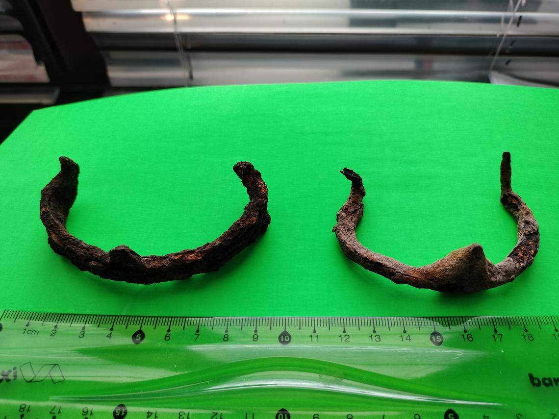 Horseshoes dating to between the 16th and 19th centuries.