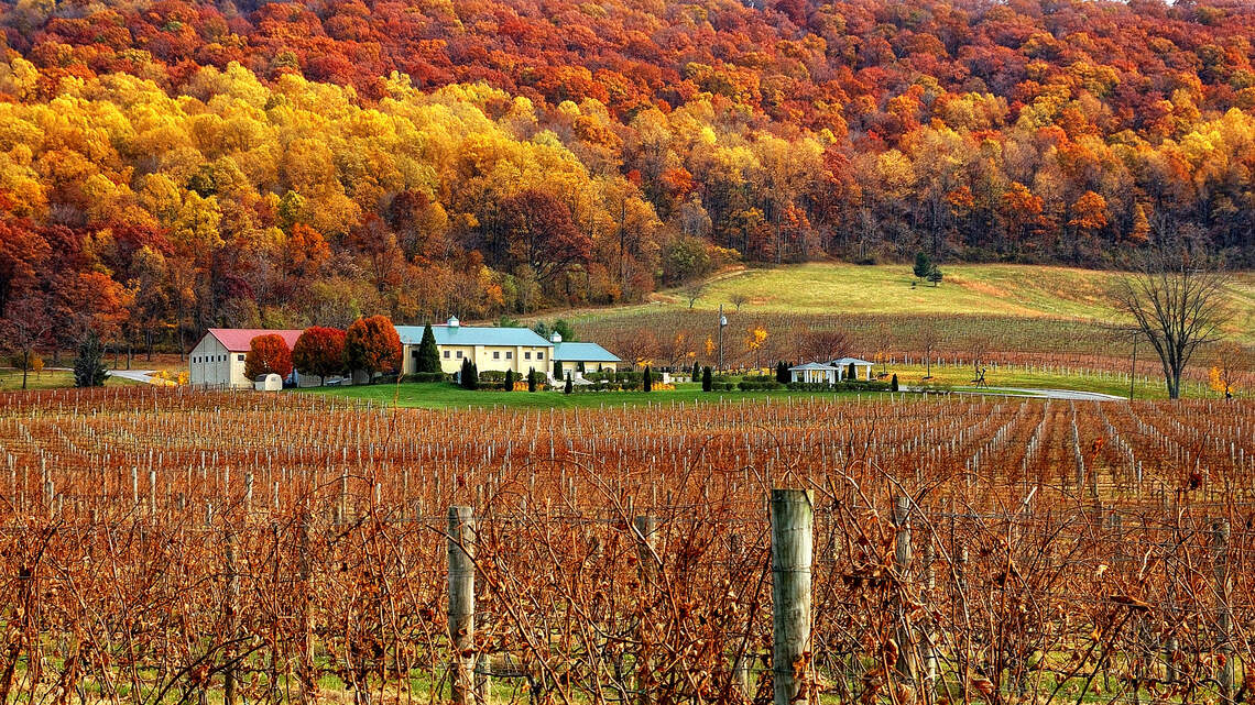 Discover a five-star fall destination that even celebrities would approve of