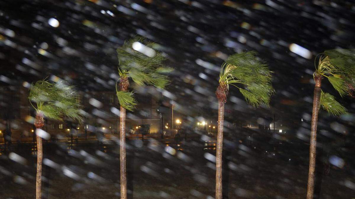 Rain is blown past palm trees as Hurricane Harvey makes landfall, Friday, Aug. 25, 2017, in Corpus Christi, Texas. Harvey intensified into a hurricane Thursday and steered for the Texas coast with the potential for up to 3 feet of rain, 125 mph winds and 12-foot storm surges in what could be the fiercest hurricane to hit the United States in almost a dozen years. )