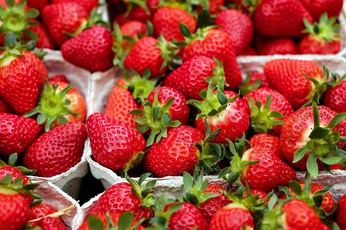 Florida’s strawberry season is almost over, but you can still order them from Urban Oasis Project.