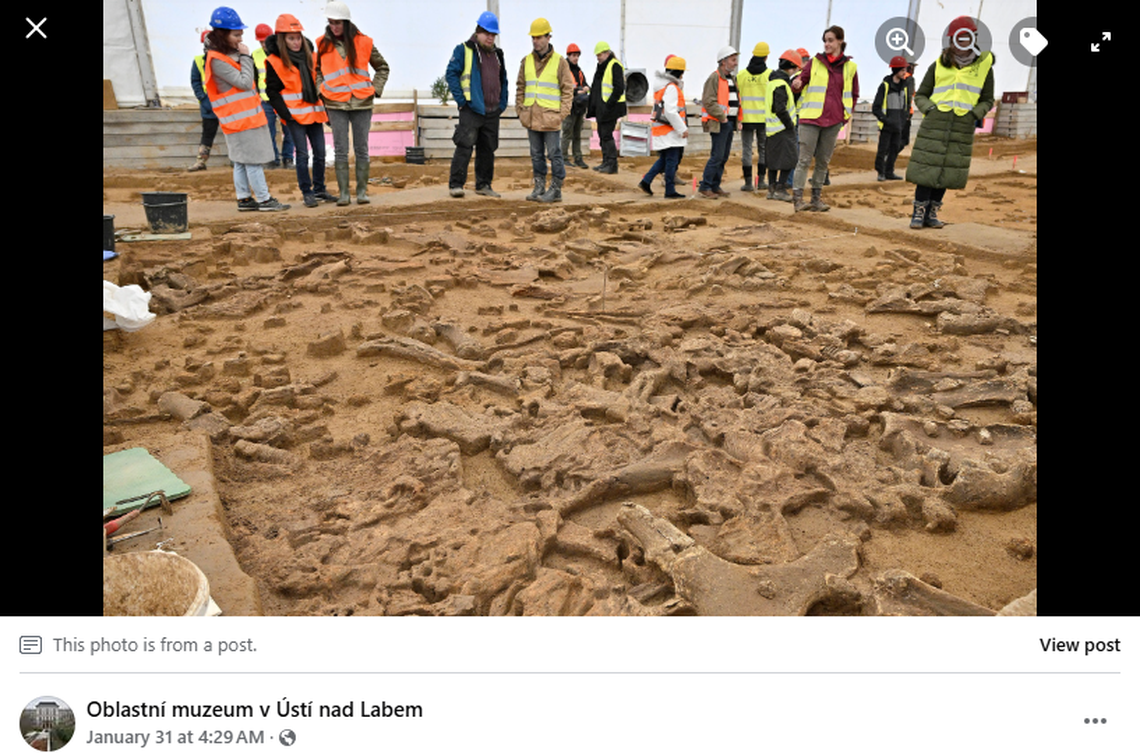 The animals would have been brought to the camp to be processed, researchers said.