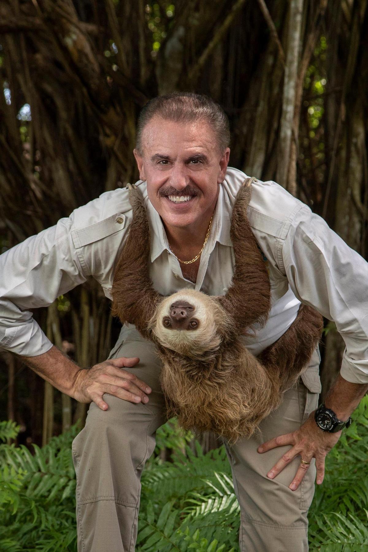 The female sloth Penelope, a sluggish tree-dweller from the tropical rain forest, holds onto the neck of Zoo Miami’s Ron Magill. Magill and Zoo Miami will both soon celebrate 40 years in Kendall. Spokesman, ambassador and animal expert Magill has been there since it opened.