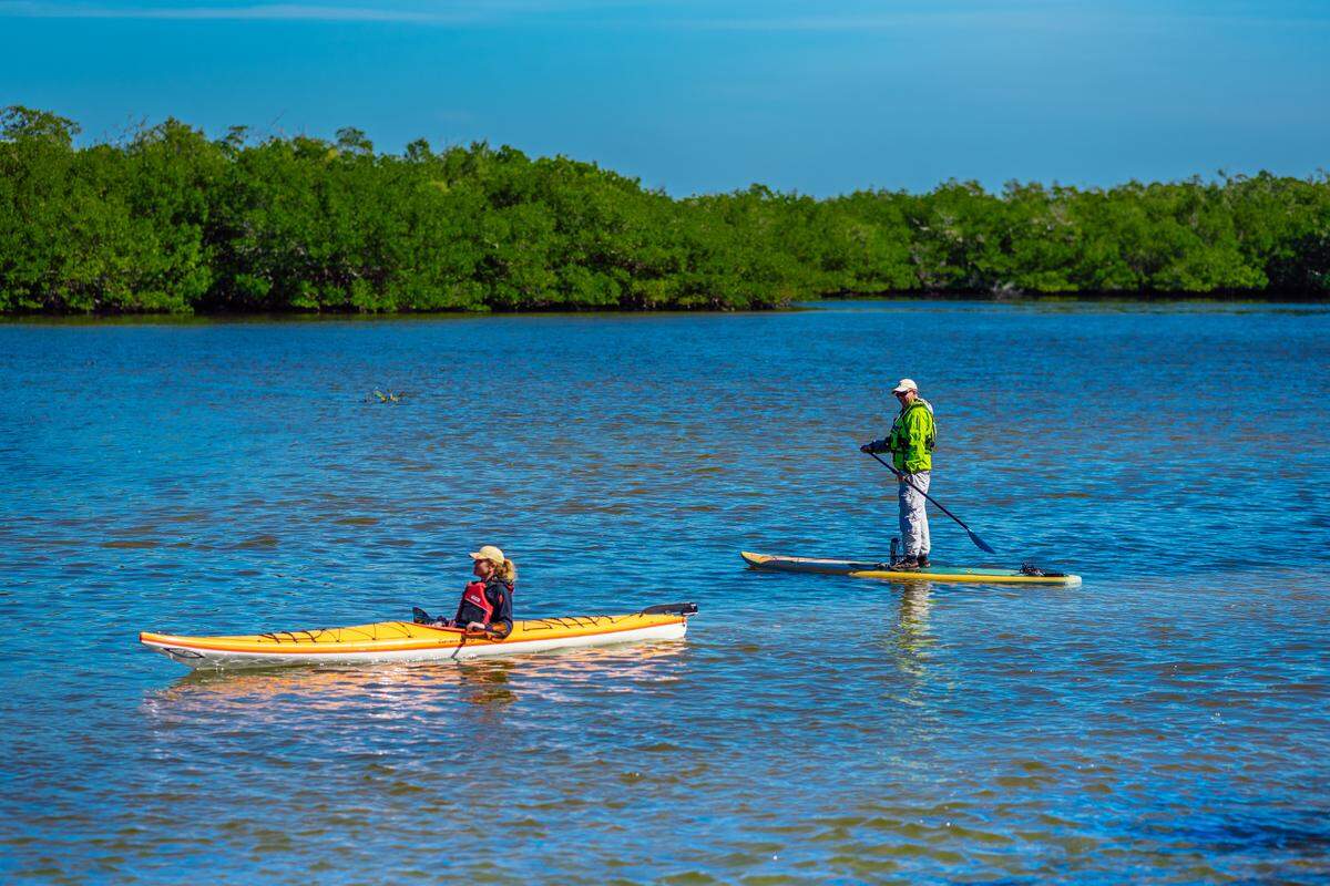 Spend the day kayaking the Calusa Blueway.