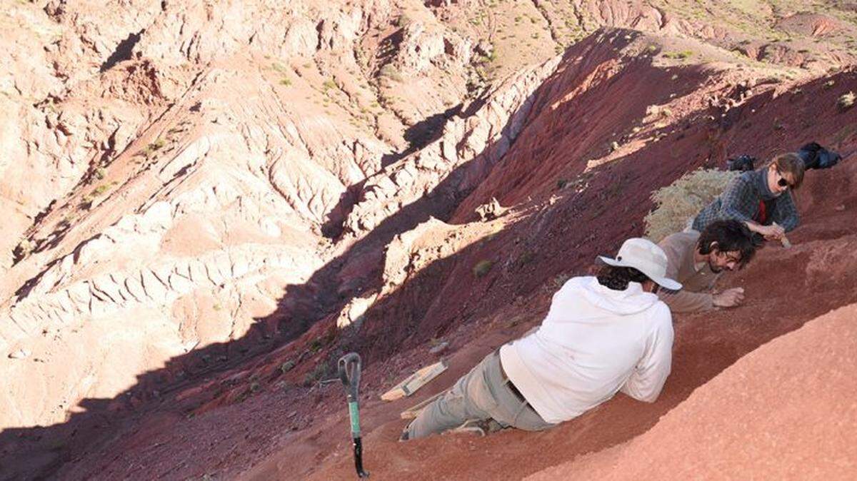 Researchers in the Andes of Argentina discovered one of the oldest known dinosaurs as a species new to science.