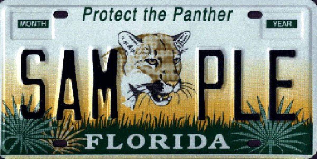 Car registration in Florida expires on the birthday of the vehicle owner. Driving with an expired tag is against the law and carries a fine and penalty.