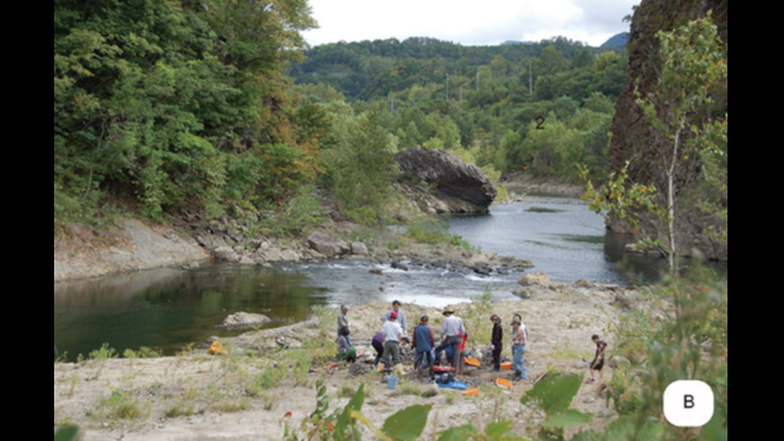 Fossils found in a riverbed in Japan were revealed as a large, ancient ancestor of right whales.