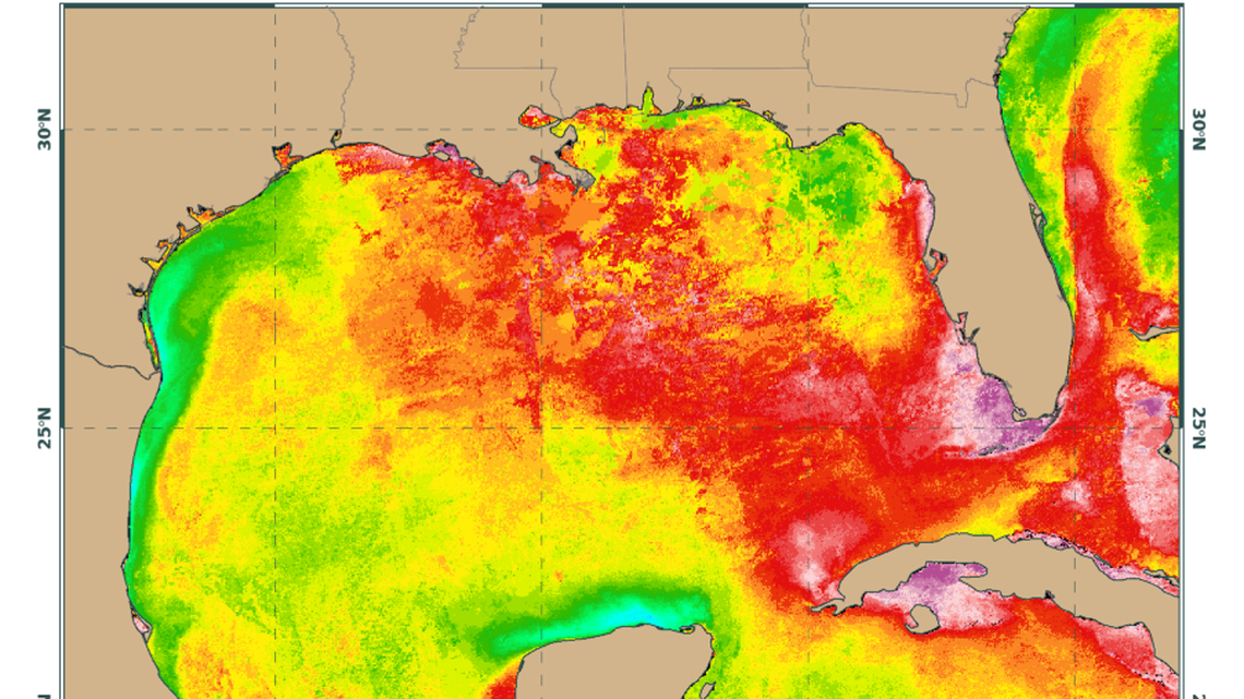 This map depicts July 11’s surface temperatures, as shown by University of Miami scientsit Brian McNoldy. The Atlantic Ocean at Florida’s southeastern tip ran about 87.8 degrees Fahrenheit, while waters by the Florida Keys are soaring toward 91.4 degrees Fahrenheit.