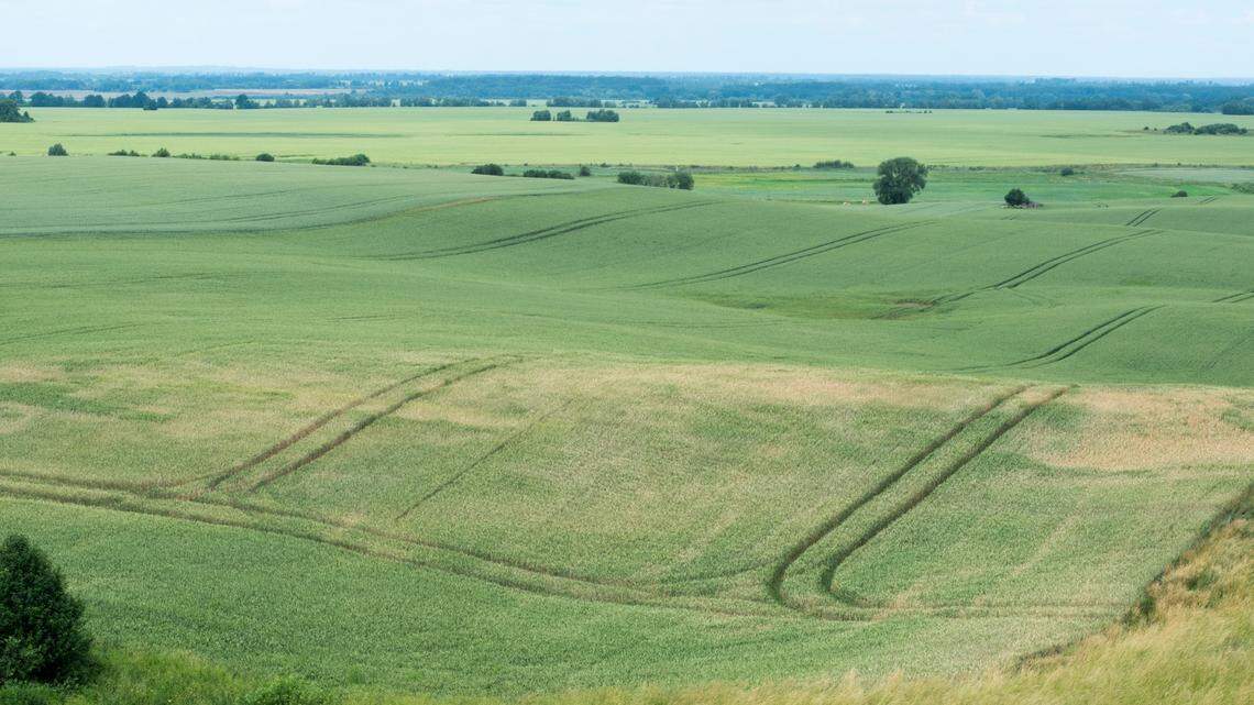 The rare currency was found at the ancient Kernavė archaeological site in Lithuania, officials said.