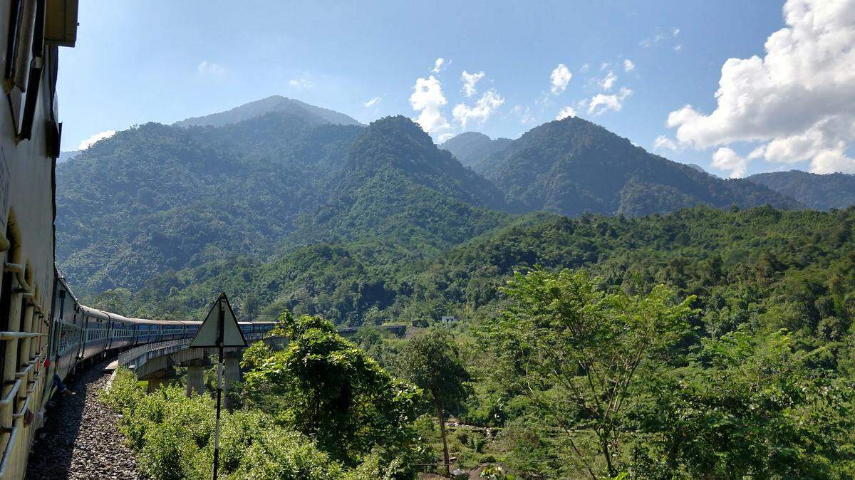 In the moutains of eastern India, a rare creature made an appearance on a park’s trail cameras.