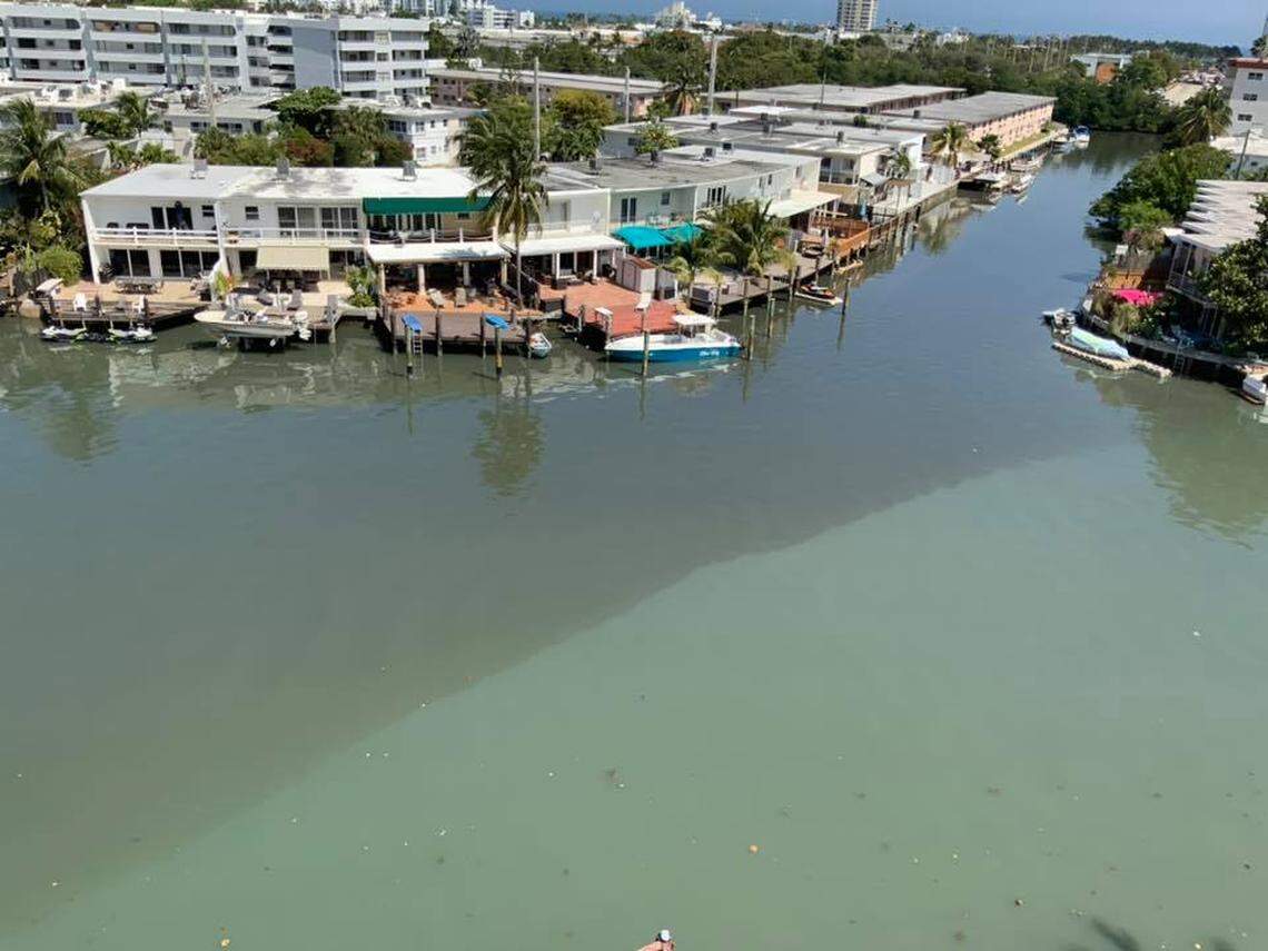 The canal at 72nd Street in North Beach appears discolored in a photo taken by a resident after a sewer break at 72nd Street and Harding Avenue on Thursday, March 5, 2020.