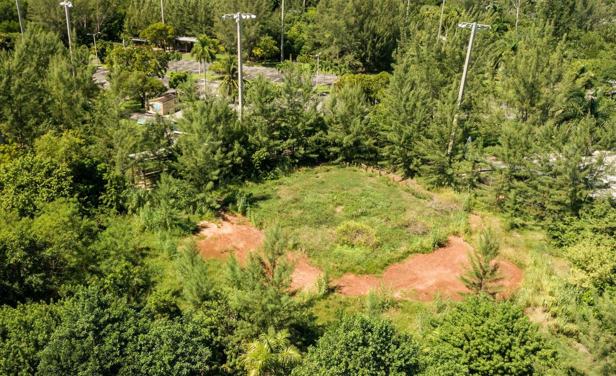 Field 2, one of three baseball and softball diamonds at Chapman Field Park, has been closed since 2014 for a soil remediation project that’s never been completed.