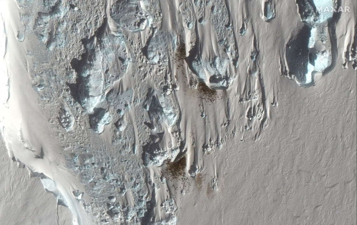 Satellite imagery showing the brown-colored penguin guano stains.