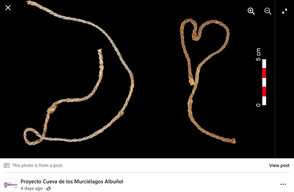 The bowstrings were made from animal tendons and sinew from multiple species, researchers said.