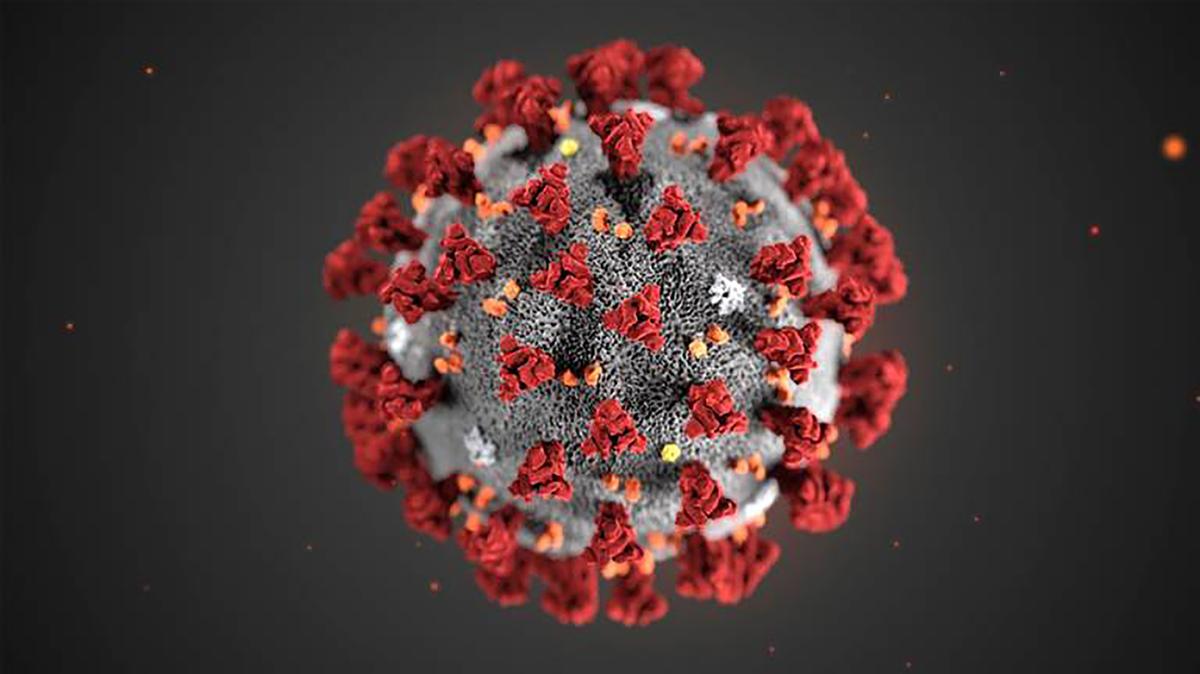 A 3D image of the novel coronavirus, the virus that causes COVID-19