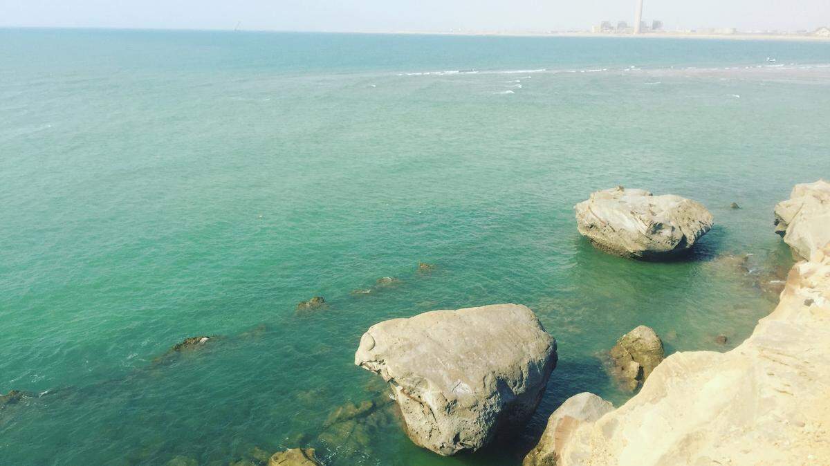Researchers found a new species of stingray from the Arabian Sea near Pakistan, according to a study.