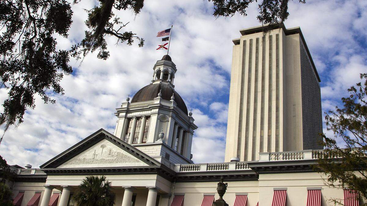 The Florida Legislature will see an influx of new lawmakers, spurred by term limits, which left many seats vacant.