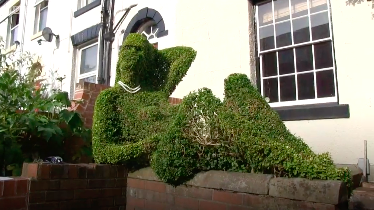Sheffield, England, retired artist Keith Tyssen says he’s sick of drunk passersby pretending to have sex with his garden hedge “privet lady” at night. He said  it takes time to maintain “Gloria’s” character and he has to repair the topiary.