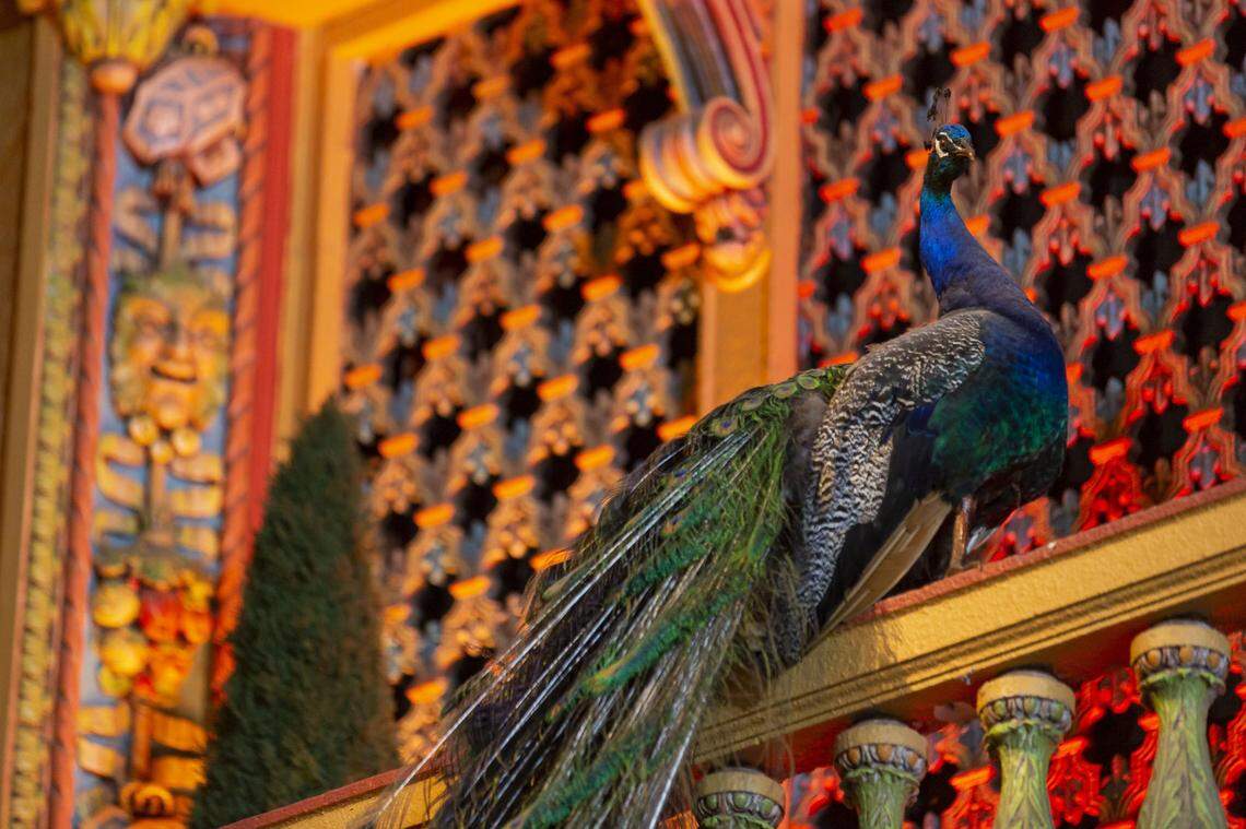 An inside view of the Olympia Theater in downtown Miami on Monday, July 8, 2019. Recent proposals to restore the theater have been presented at the City of Miami, which owns the property.