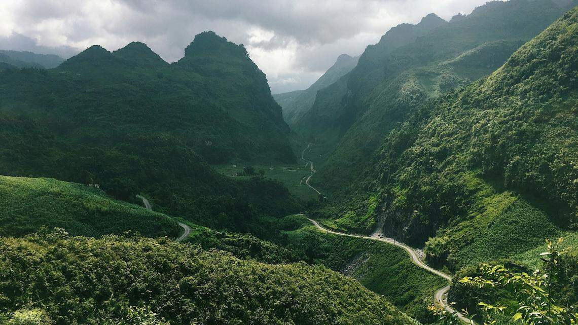 In the mountains of northern Vietnam, a small animal sat next to a puddle before it was discovered by researchers.