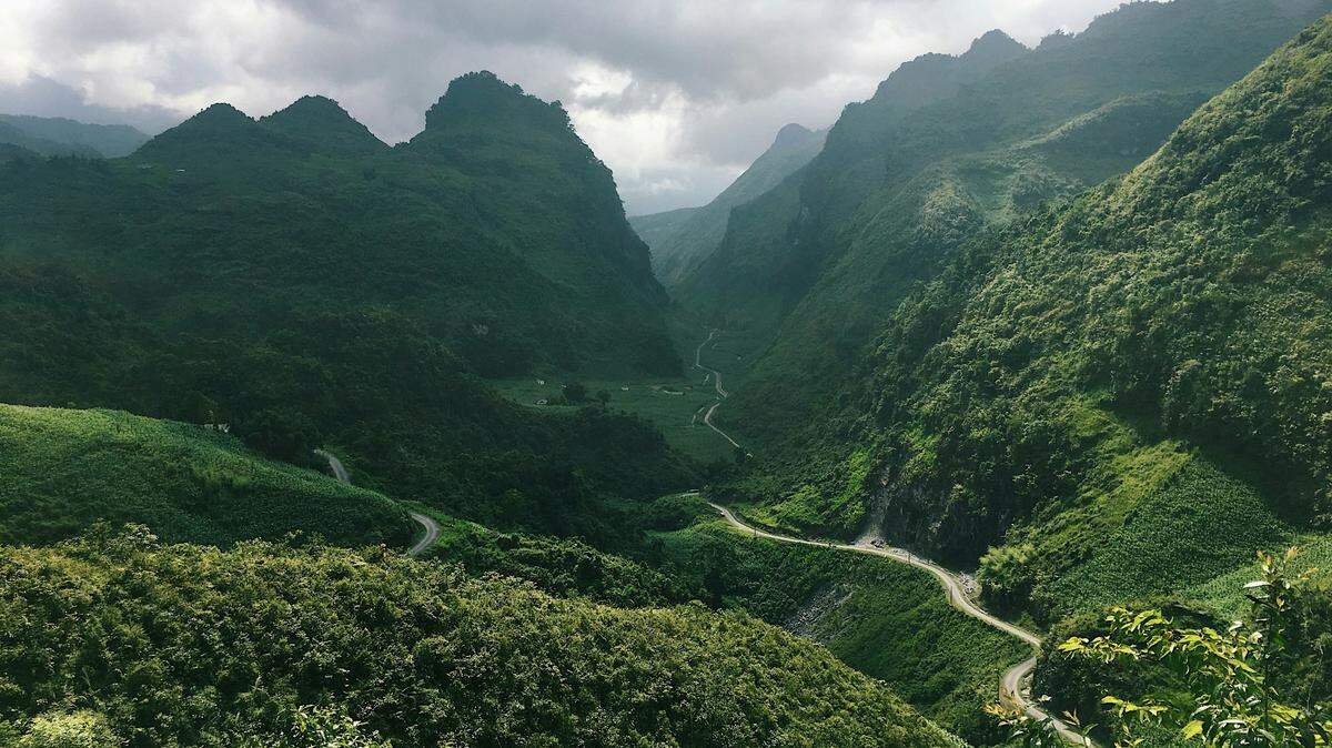 In the mountains of northern Vietnam, a small animal sat next to a puddle before it was discovered by researchers.