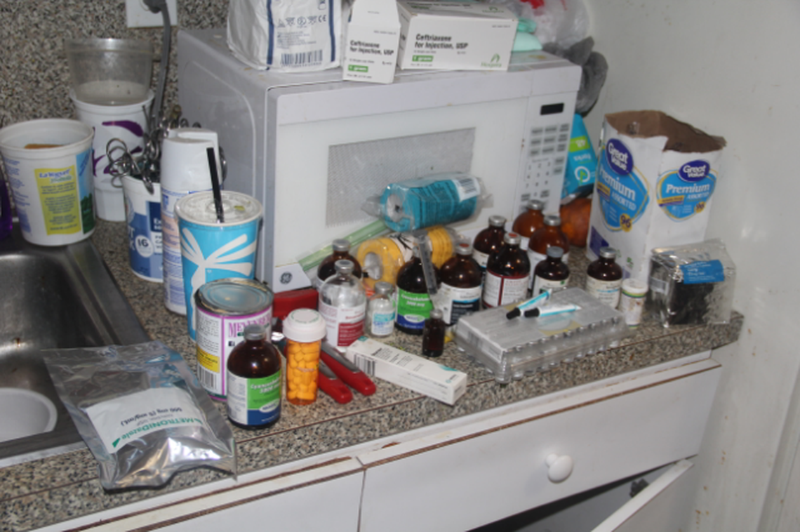 Two people were arrested on charges of animal cruelty after police say they transformed their Hialeah apartment into a makeshift veterinary clinic and performed surgical procedures without a license.