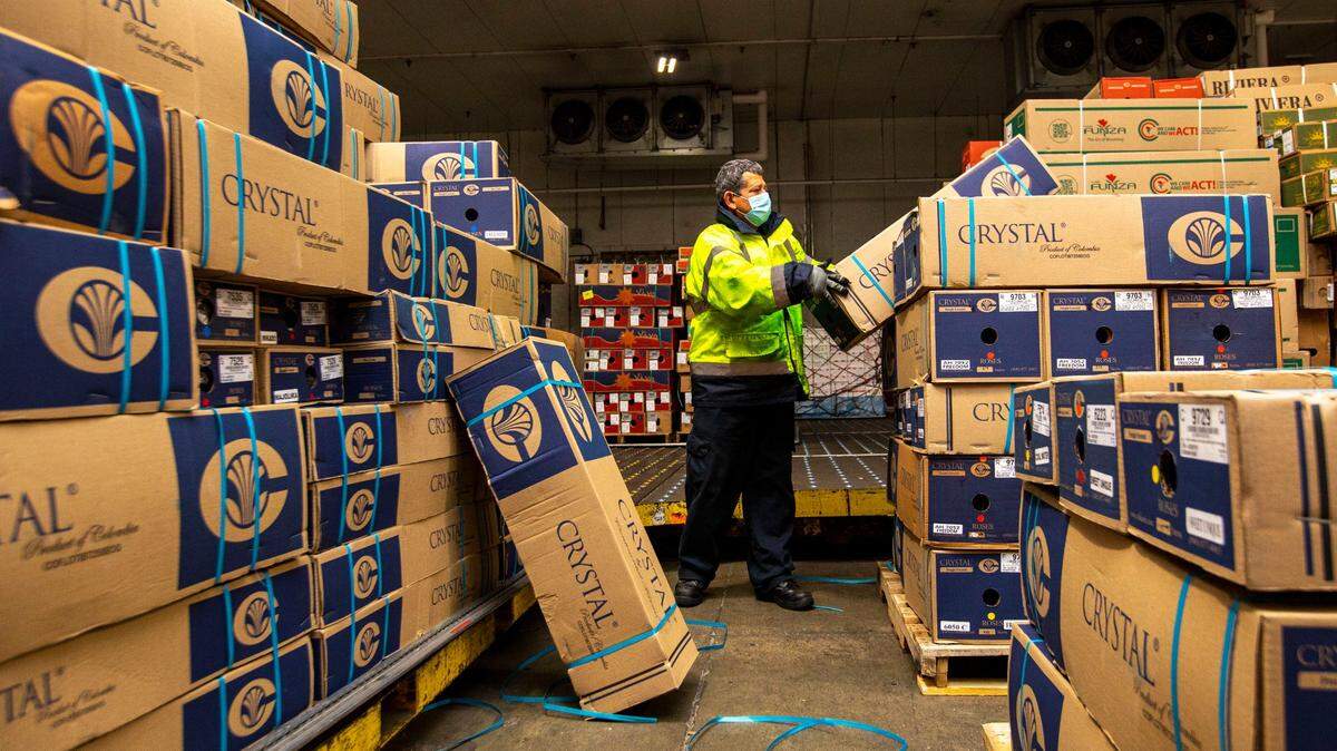 Demand rises for warehouse space in Miami, pushing vacancy rates to historic lows. Above: Mensies Aviation workers sort mass quantities of flowers before Valentine’s Day at Avianca Cargo warehouses inside Miami International Airport on Friday, Feb. 11, 2022.