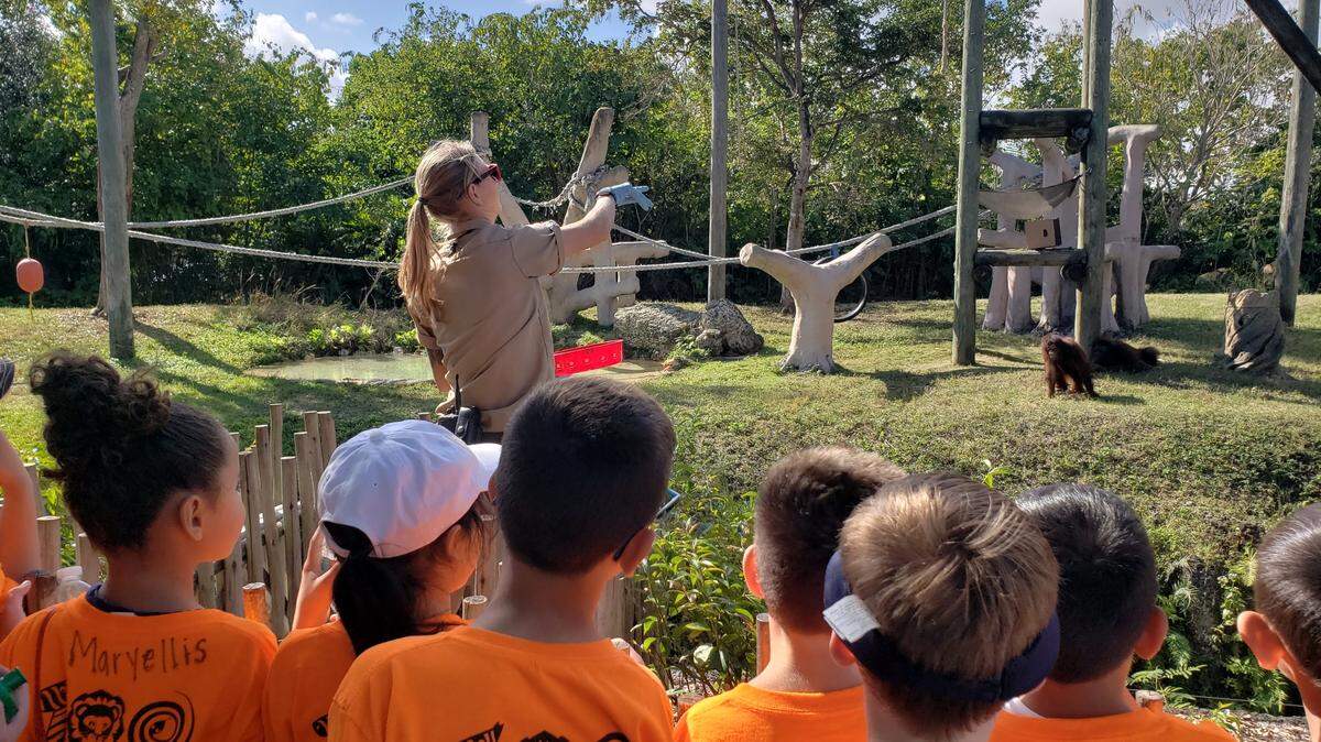 A group of children attend Zoo Miami’s winter camp in 2019. This year the zoo is holding camp from Monday, Dec. 21, through Thursday, Dec. 24, and from Monday, Dec. 28, through Thursday, Dec. 31.