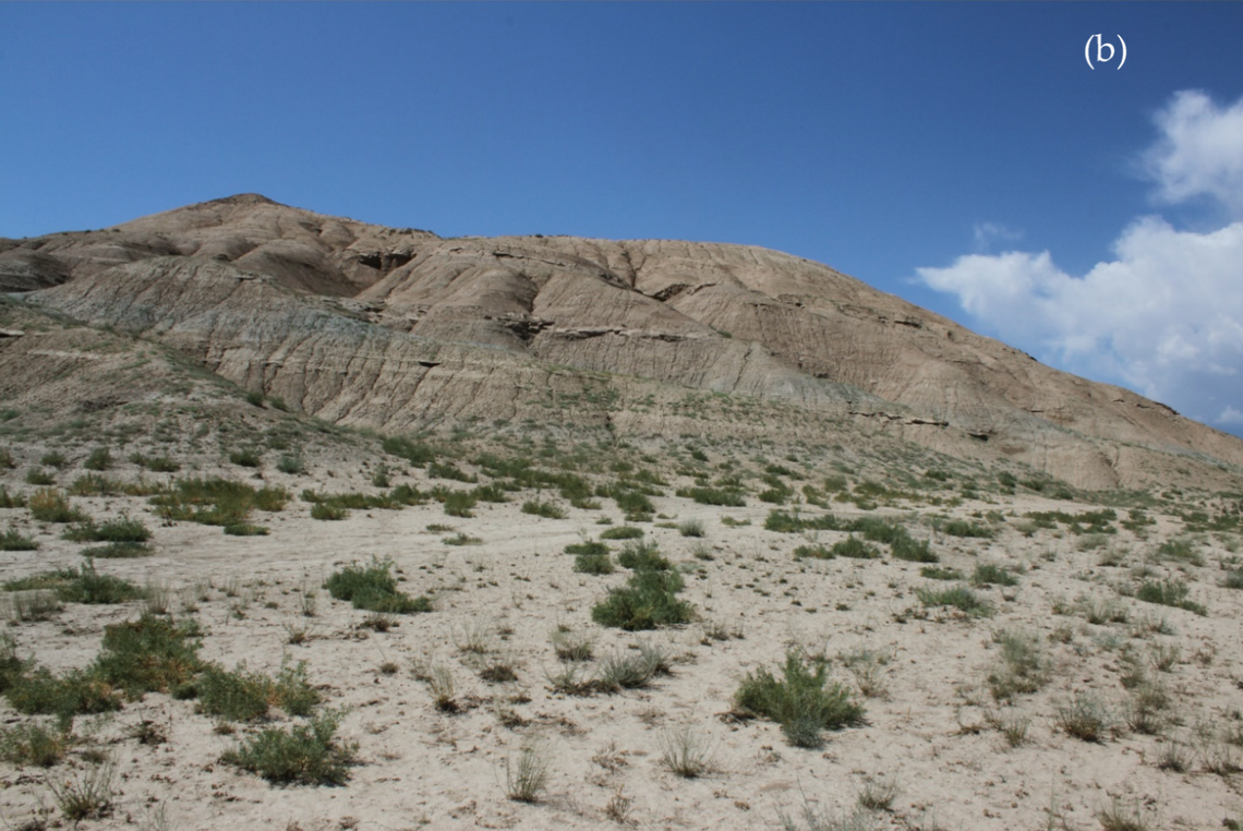 The habitat where Alsophylax emilia, or Emilia’s even-fingered gecko, was found.