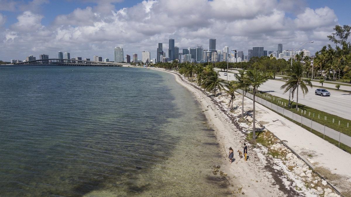 Pedestrians ignore the fencing and cross into a closed area of the beach along the Rickenbacker Causeway on Tuesday, October 16, 2018. Large areas of the beaches have been closed since Hurricane Irma.