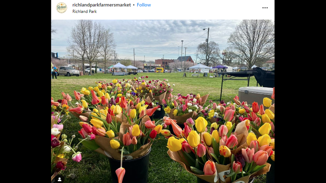 The attempted-robbery happened Sept. 22 after the woman left the Richland Park Farmers Market in Nashville, Tennessee, police said.