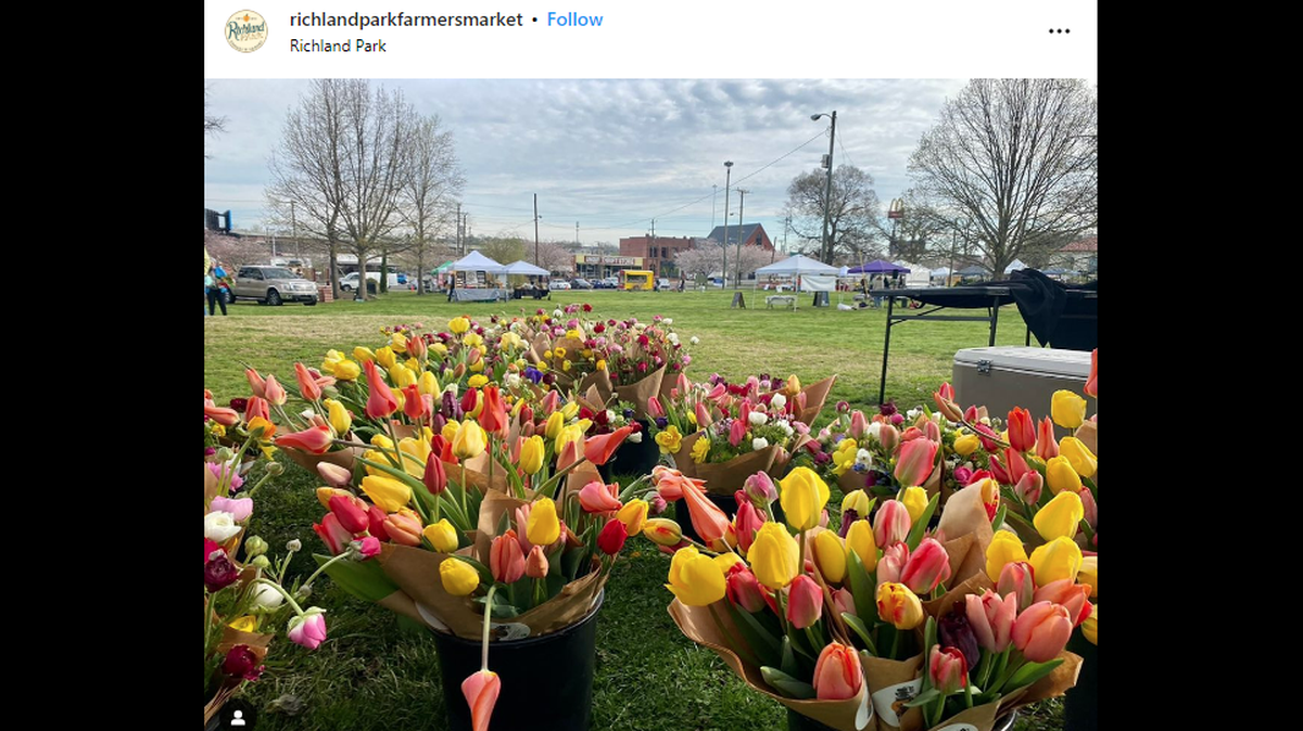 The attempted-robbery happened Sept. 22 after the woman left the Richland Park Farmers Market in Nashville, Tennessee, police said.