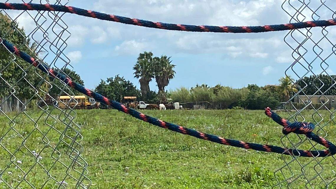 Photo shows a broken fence near where several horses were found slaughtered in rural South Miami-Dade County on Friday, Feb. 16, 2024.