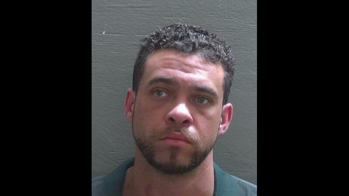 Andrew Ross Celaius
