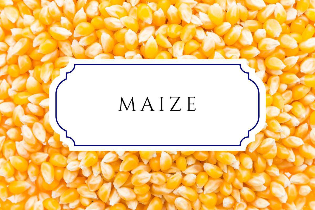 botanical baby names maize