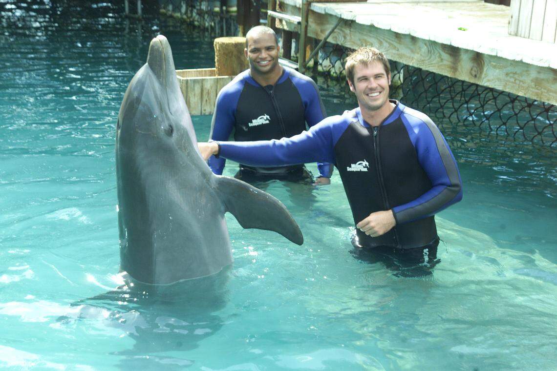 In this file photo, former Miami Dolphins football players A.J. Feeley (quarterback) and Brendon Ayanbadejo (linebacker) participate in a special dolphin swim session at the Flipper Lagoon at Miami Seaquarium.  