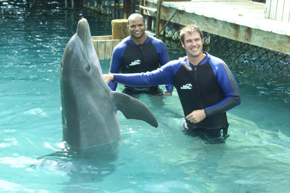 Miami Dolphins football players A.J. Feeley (quarterback) and Brendon Ayanbadejo (linebacker) join in the celebration of Flipper’s 40th Anniversary with a special dolphin swim session at the world famous Flipper lagoon. The Miami Dolphins football players had the opportunity to swim with that famous superstar Flipper at Miami Seaquarium. This summer, Miami Seaquarium, the original film location for the popular 1960’s TV series Flipper, will celebrate Flipper’s Fantastic 40th Birthday with a flurry of fun and a brand new Flipper Dolphin Show.