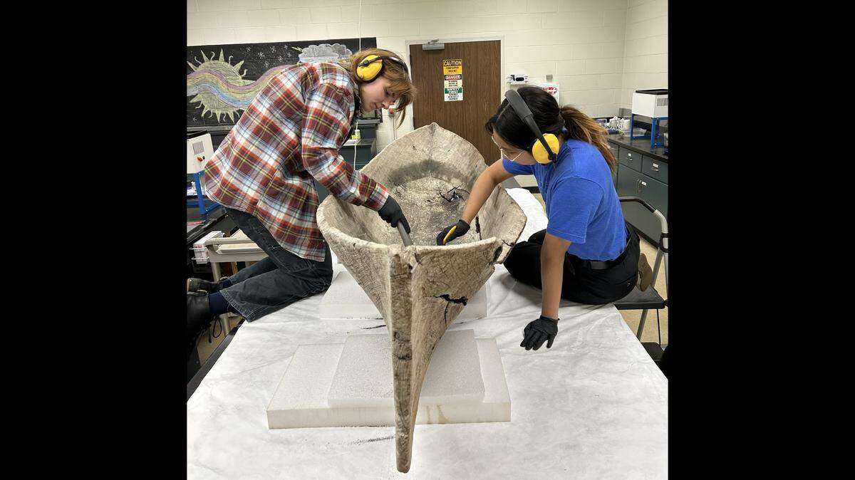 This dugout canoe found in the Fort Myers area in 2022 shows indications it was made in the style of a Caribbean cayuco, experts say. 