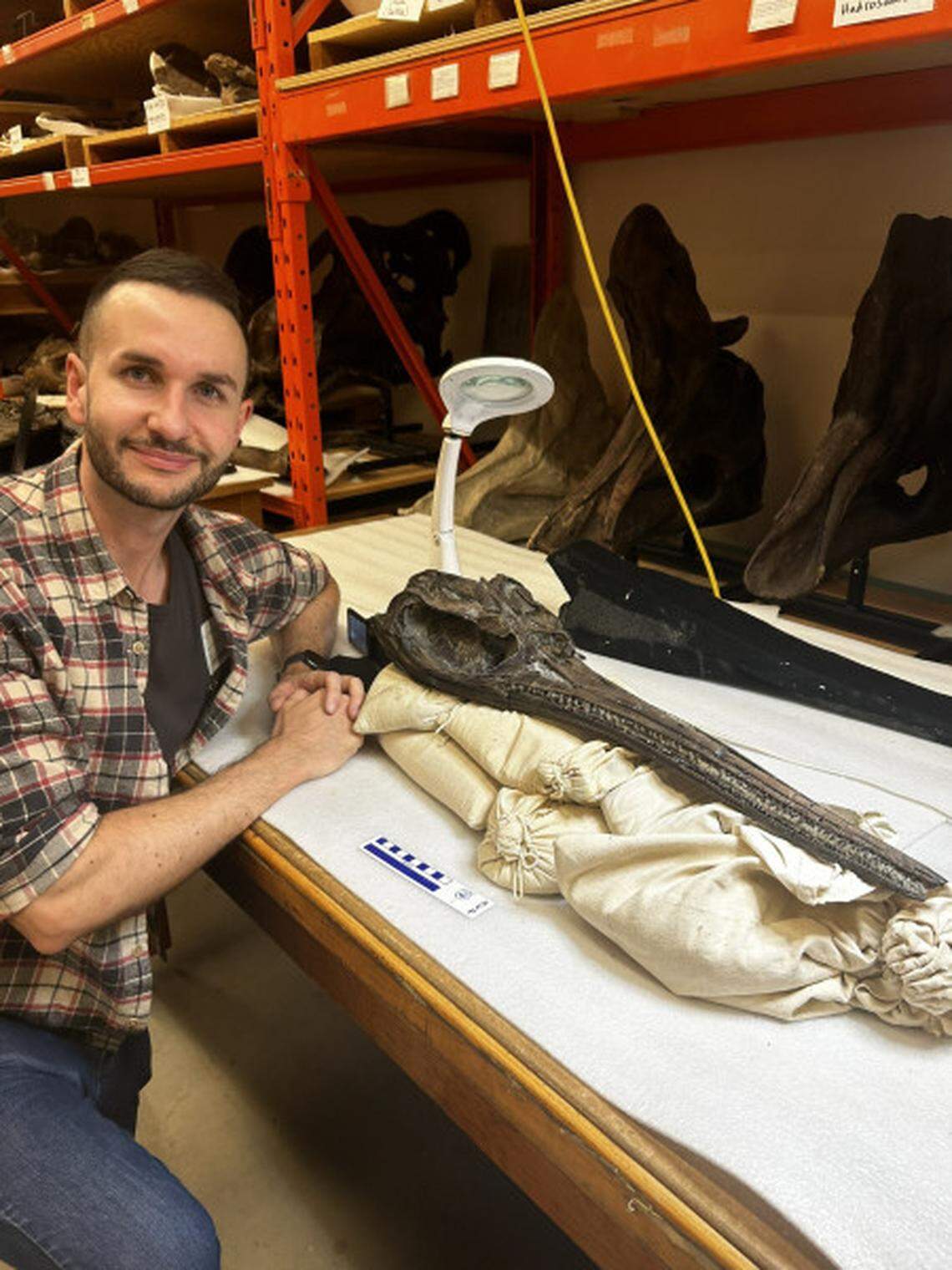 The skull was preserved in three dimensions.