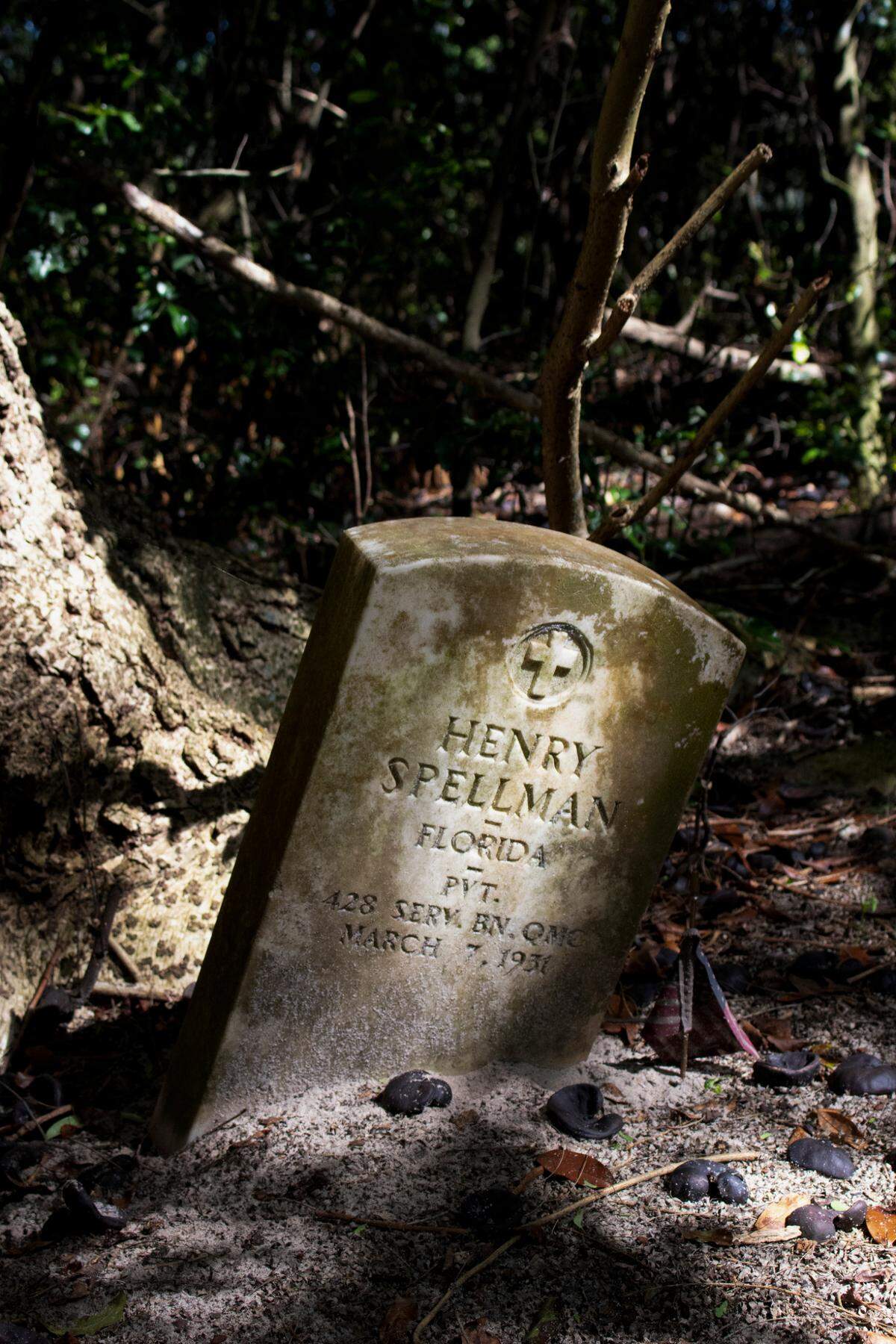 The headstone of Henry Spellman sits crooked in the Oak Tree Union Colored Cemetery of Taylorville in Groveland, Fla., on Friday, March 25, 2022.