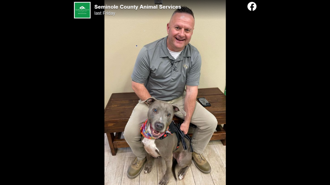 Sophie the dog’s luck turned around after a Florida shelter shared a heartbreaking online post.