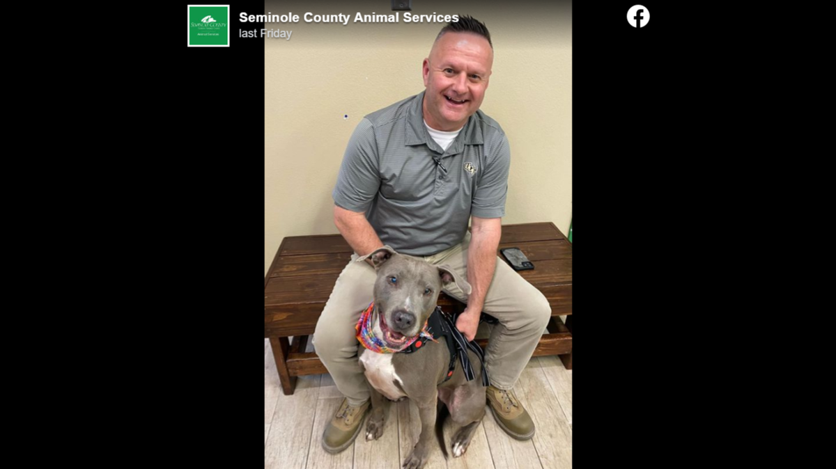 Sophie the dog’s luck turned around after a Florida shelter shared a heartbreaking online post.