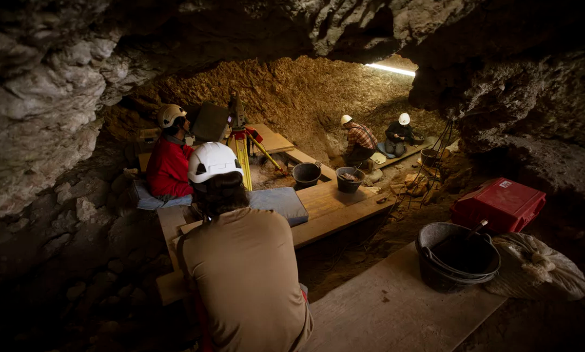 A group of 11 people, ranging in age from young children to adults, were found to be cannibalized.