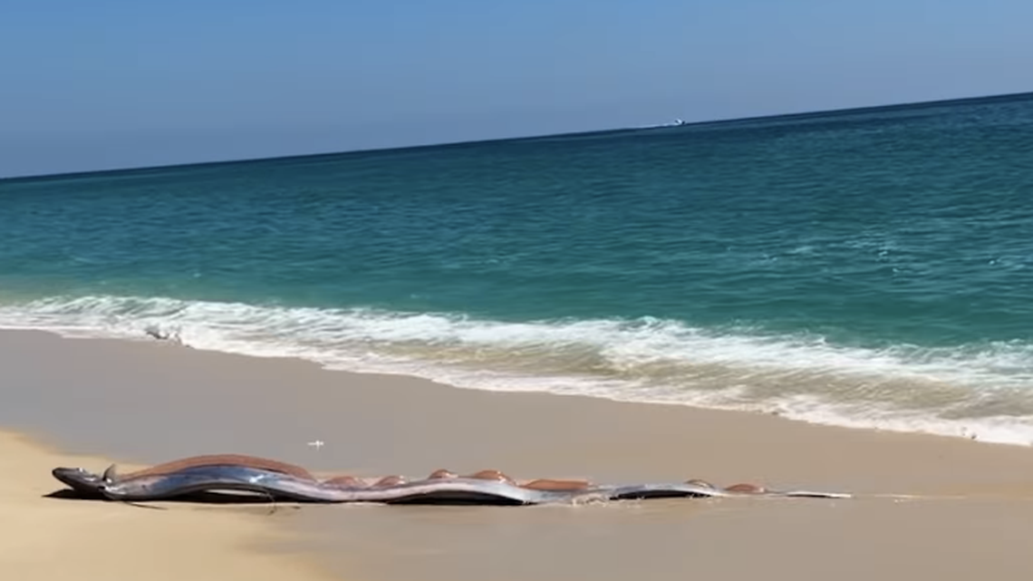 Instagram/Monica Pittenger