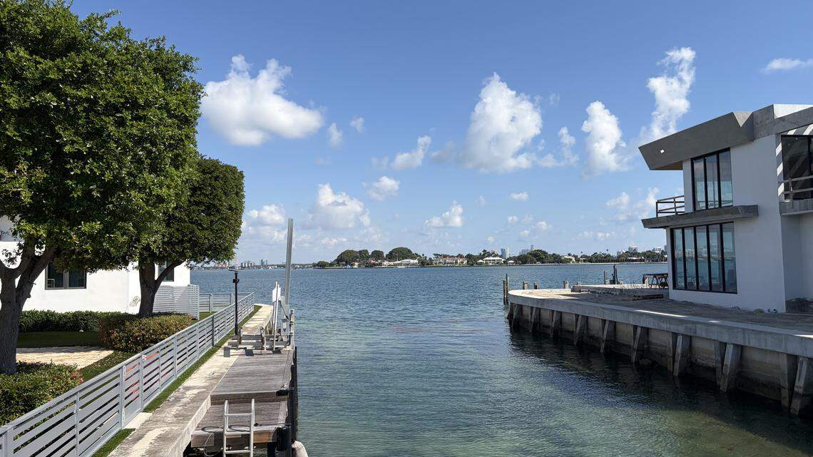 They heard screams in the water — Miami Beach witnesses recount boat hit-run
