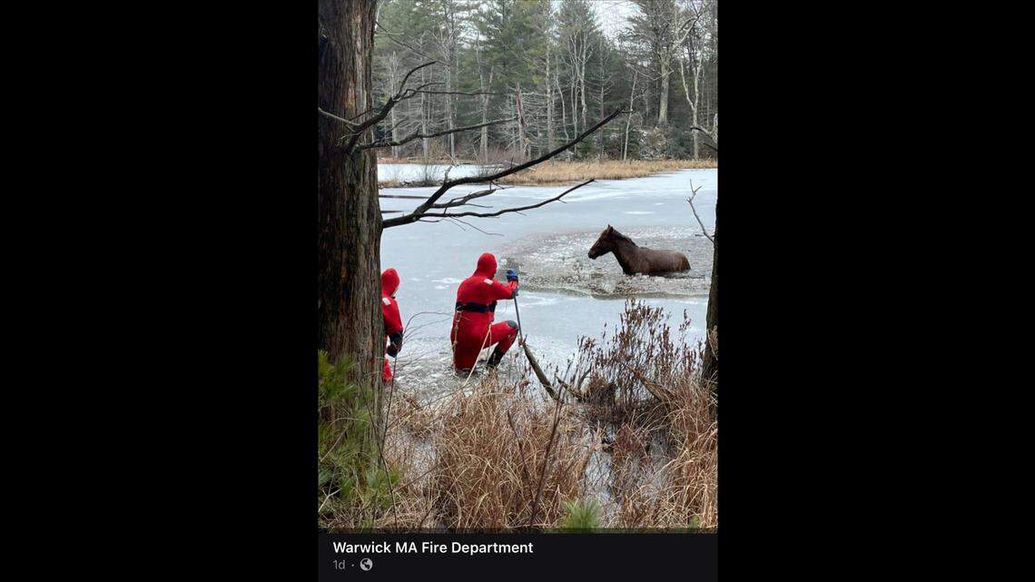The horse was found stuck in a sheet of ice, an MA fire department said.