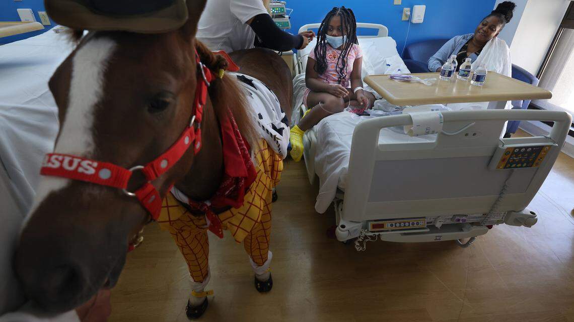 Here’s why you may see a horse at your next hospital visit in South Florida