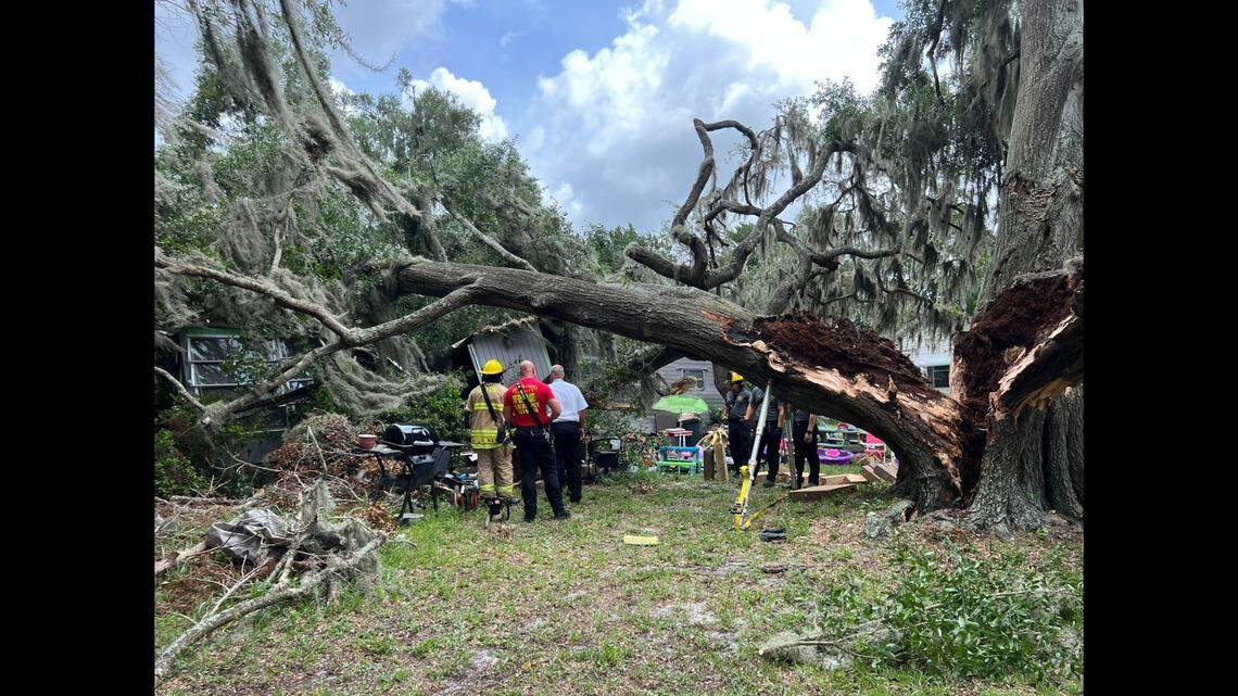 A woman living in rural Florida was killed after a large, moss-draped tree came crashing through the middle of her home.