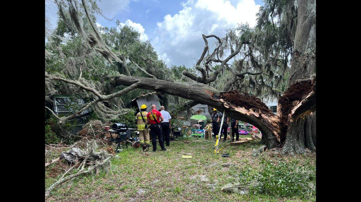 A woman living in rural Florida was killed after a large, moss-draped tree came crashing through the middle of her home.